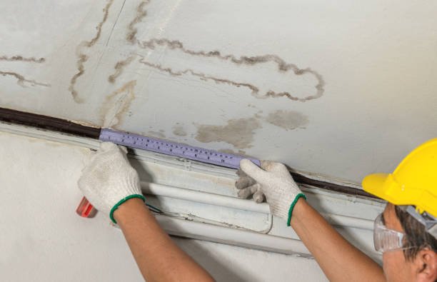 Reliable Flood Cleanup contractor in Ottawa Lake, MI by Water Damage Irwin